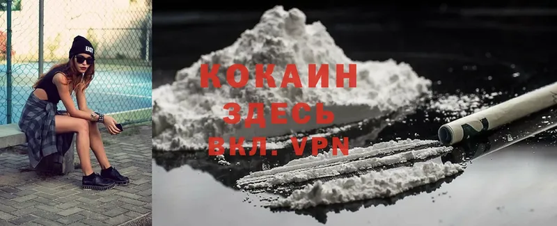 Cocaine FishScale  как найти закладки  Северодвинск 